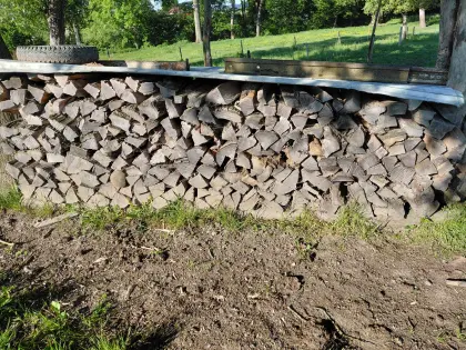 Brennholz Esche