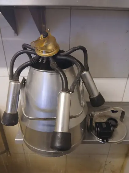 Melkeimer mit Melkzeug