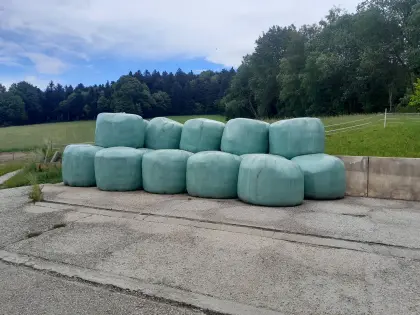 Bio-Silageballen