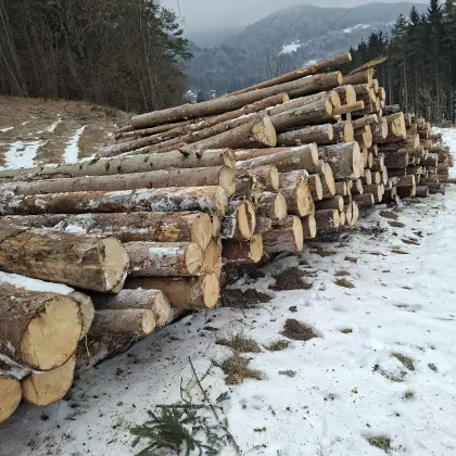Holz auf Stamm