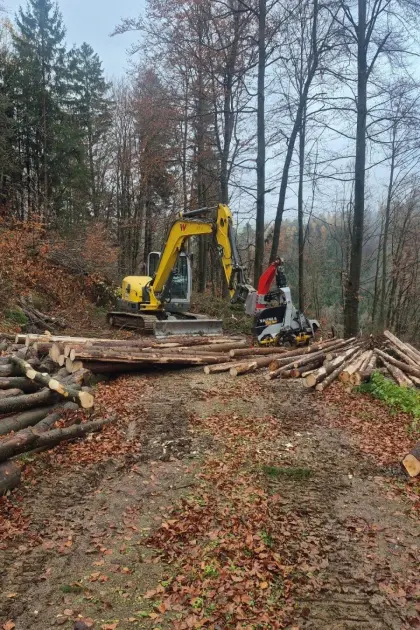 Baggerprozessor Wacker Neuson ET 90