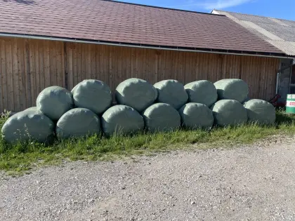 Silageballen 20 Stk.