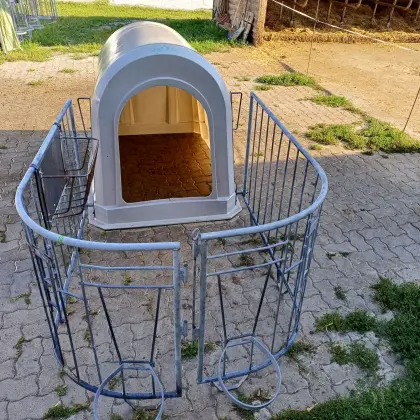 Kälberiglu