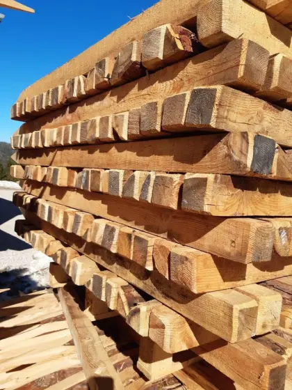 Haagsäulen, Lärchenstipfel, Zaunsteher, Baumschutz
