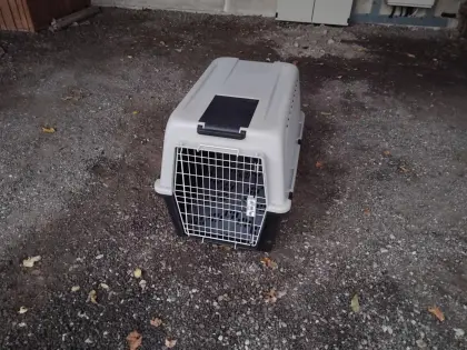 Verkaufe Tiertransportbox