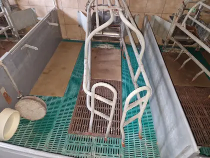 Verkaufe Aufstallung und Inventar für ZS und Ferkel