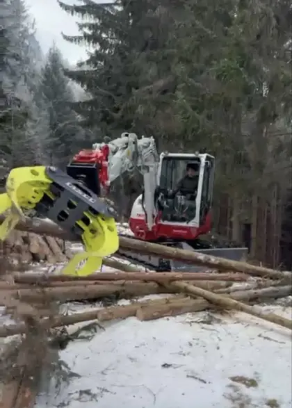 Holzgreifer Lasco Baggeranbau Festanbau Holzzange