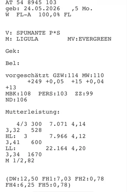 Zuchtkälber Bio