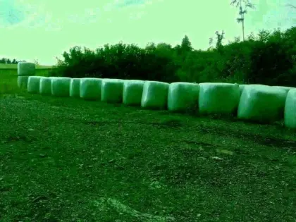 Siloballen