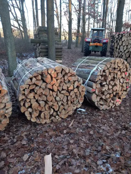Brennholzbündel 1 m³