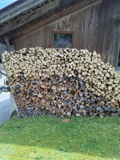 Brennholz