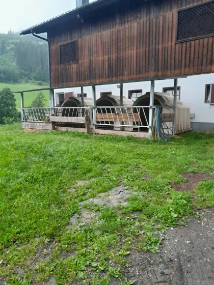 Großraumiglos mit überdachtem Auslauf