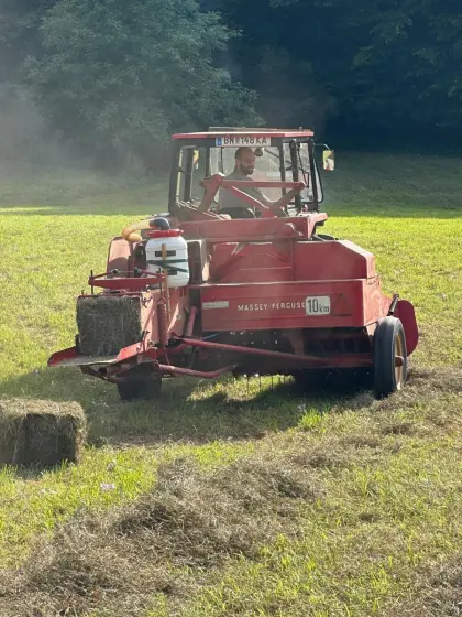 Heuballen Grummet Kleinballen