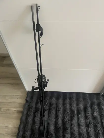 Karpfenrute mit Freilaufrolle