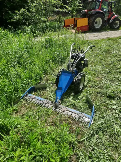 BCS Motormäher Rotax 232