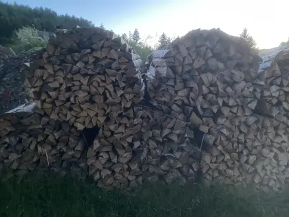Brennholz, Bündel, Abschnittholz von 5-20 cm