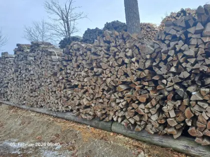 Brennholz