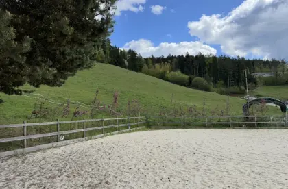 Sommerweide für Pferde