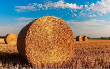 Stroh 5 ha Ernte 2026