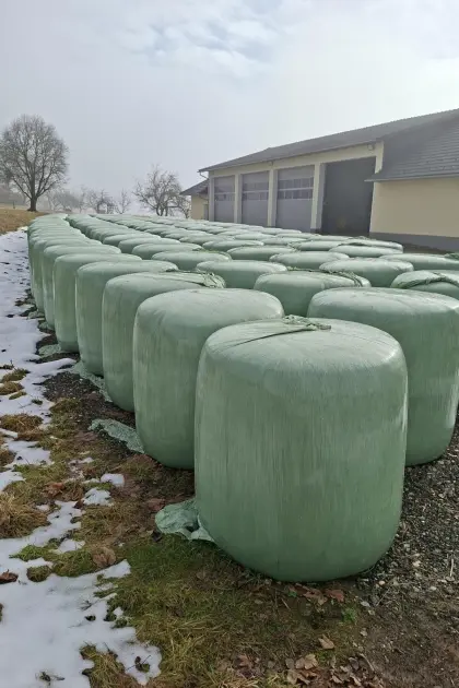 Maisballen