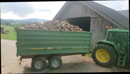 Brennholz