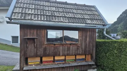 Bienenhütte 3,1 x 2 x 2,9 m
