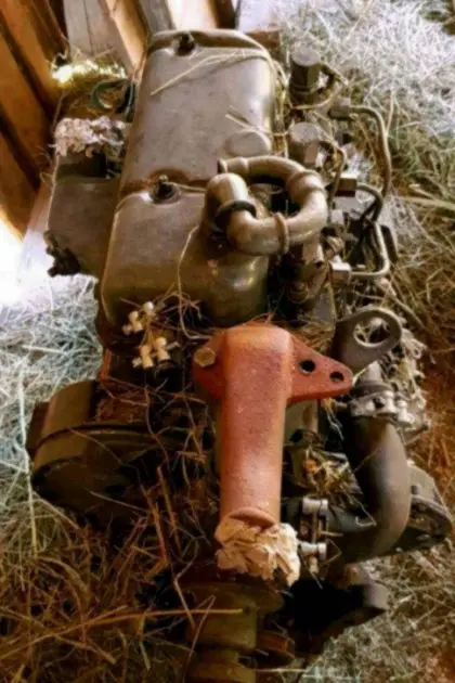3-Zylinder Perkins-Motor in Teilen