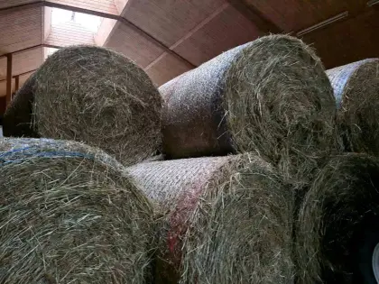 Heurundballen Ernte 2025