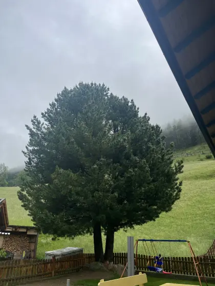 Zierben
