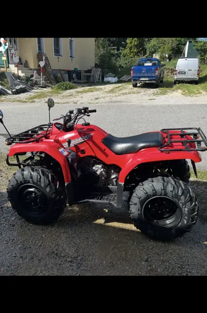 Quad Grizzly 350