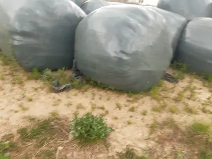 Silageballen