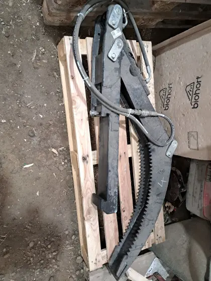 Verkaufe Stammhalter