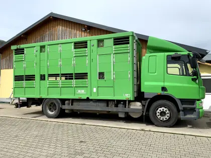 DAF Viehtransporter