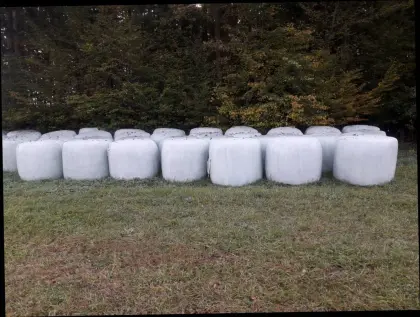 Silageballen