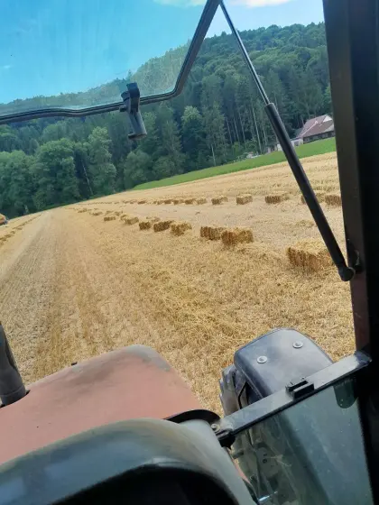 Heu Kleinballen