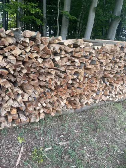 Buchen-Brennholz