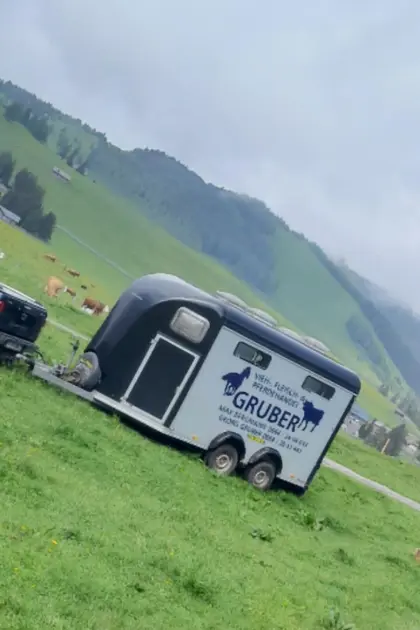 4-Pferdeanhänger
