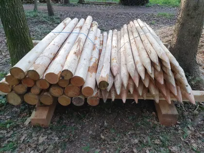 Lärchenpfähle, Zaunpfähle, Pflanzstäbe