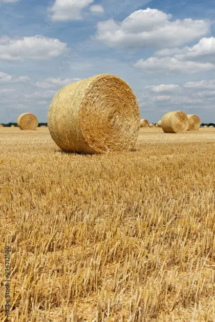 Stroh-Rundballen zu verkaufen