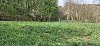 Weidefläche