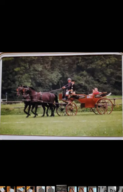 Landauer, Wagonette, Steirerwagerl, Reithelm, Lederstiefel, Sattel
