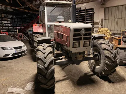 Steyr 8130 SK1