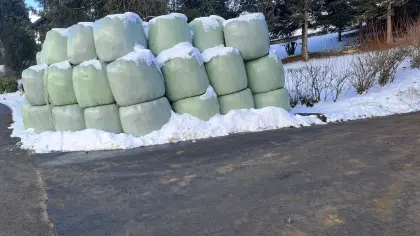 Silageballen