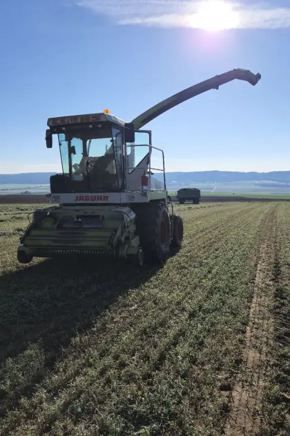 Verkaufe Claas Jaguar 690 SL