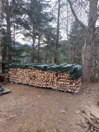 Brennholz