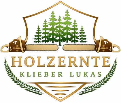 Holzernte, Bringung