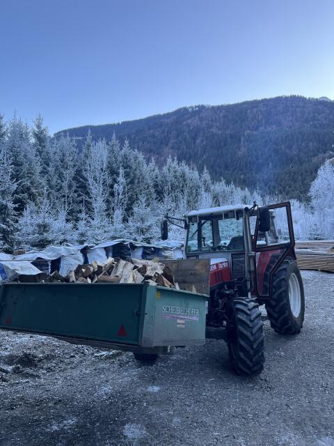 Steyr