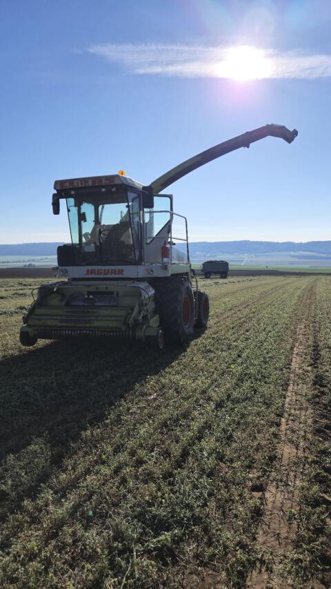 Verkaufe Claas Jaguar 690 SL