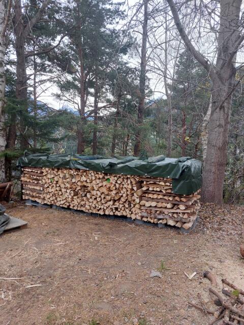 Brennholz