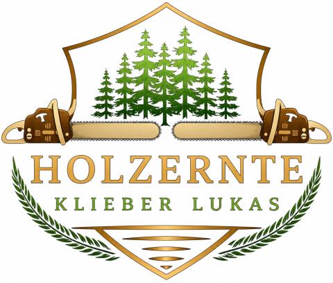 Holzernte, Bringung